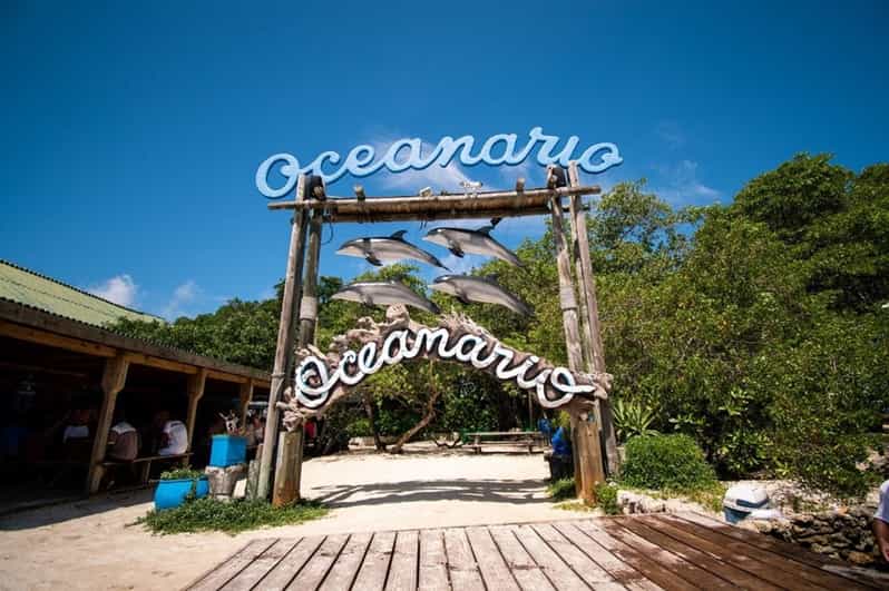 Cartagena: Rosario & BARÙ Islands ALL INCLUCIVE Ticket,Taxes