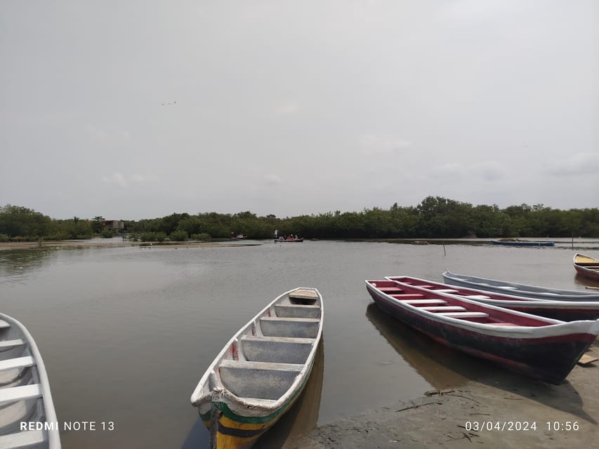 Cartagena: Sail in the Mangrove in a Canoe GUIDE in ENGLISH