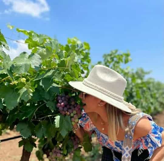 Casablanca Valley Wine Experience