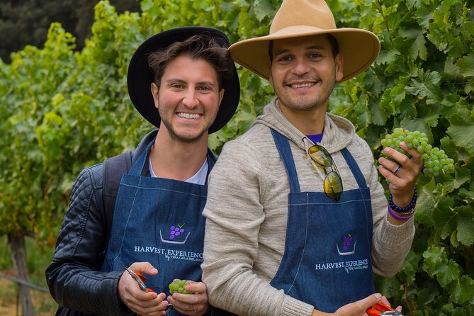 Casablanca Wine Valley LGBT+