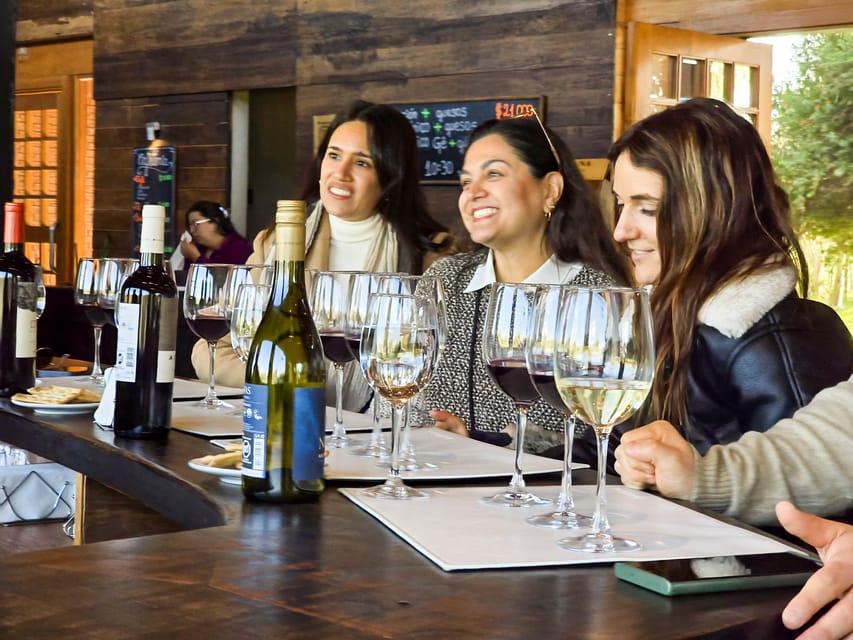 Casablanca World Class Wines, Visiting 4 Vineyards - Tour Overview