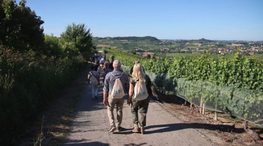 Castagnole Delle Lanze: Saffron Walking Tour W/ Wine & Food