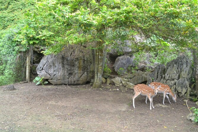 3 Best National Park Tours In Cat Ba