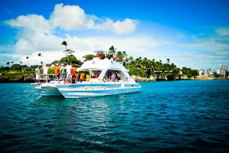 Catalina Island Scuba Diving Tour From Punta Cana