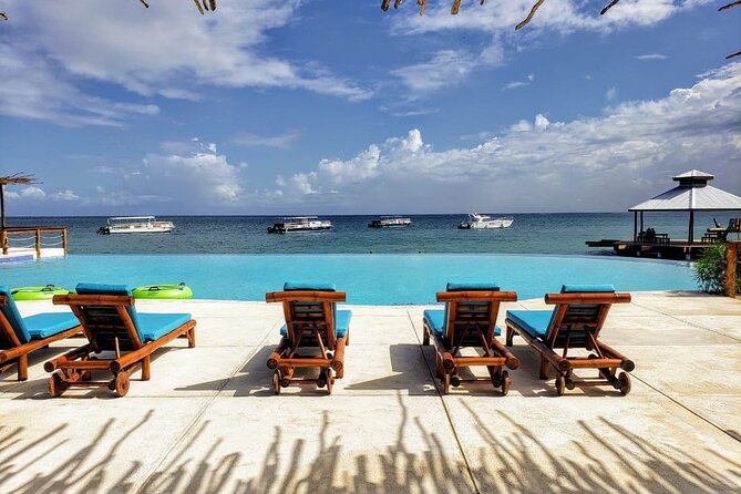 Catamaran Cruise, Snorkel, ATV, Horseback Ride and Swim