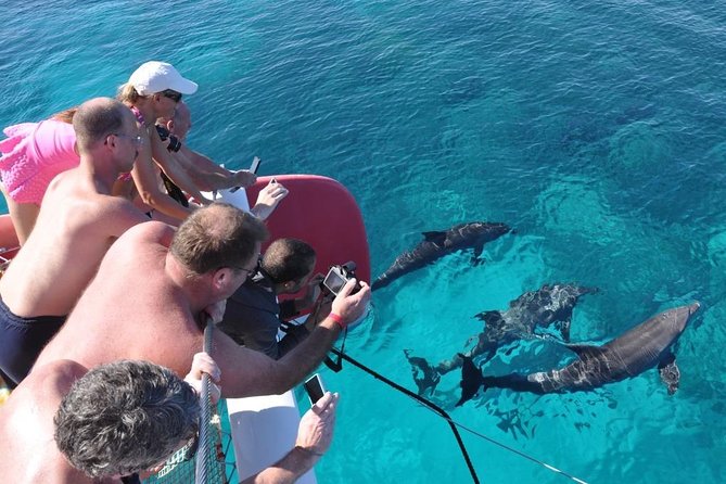 Catamaran Sailing Tour - Tour Overview