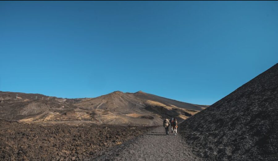 Catania: Etna Morning Excursion With Tasting and Pickup - Tour Overview and Pricing
