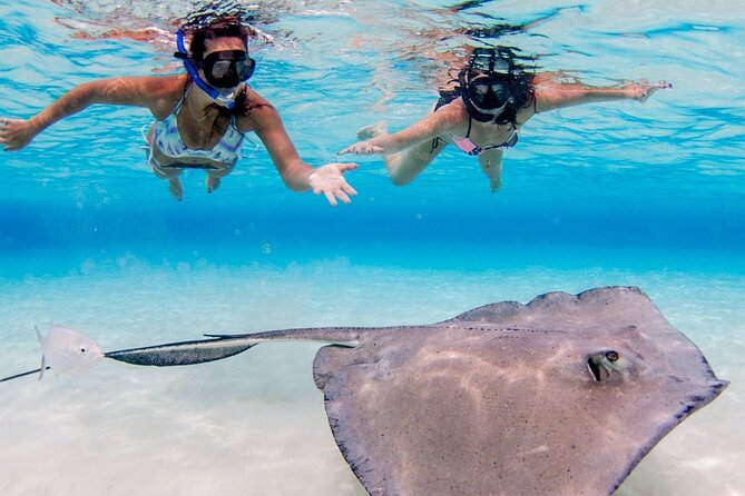 Cayman Adventure: Starfish Point, Stingray City and Coral Gardens