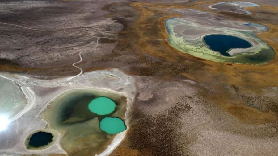 Cejar Lagoon Tour – Flotation, Cocktail & More!