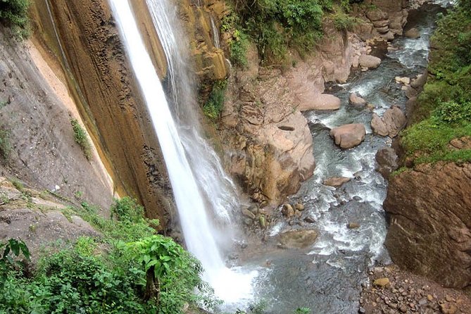 Central Jungle 4 Days and 3 Nights - Tour Overview