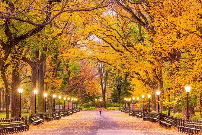 Central Park Bike Rental In New York City