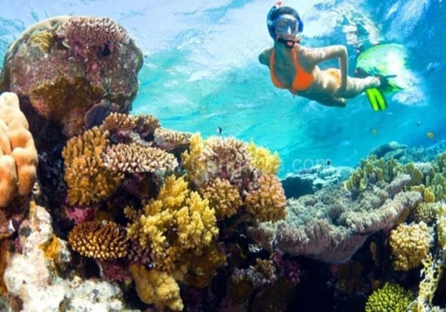 Cham Island: 1-Day Speedboat Trip With Snorkeling and Lunch