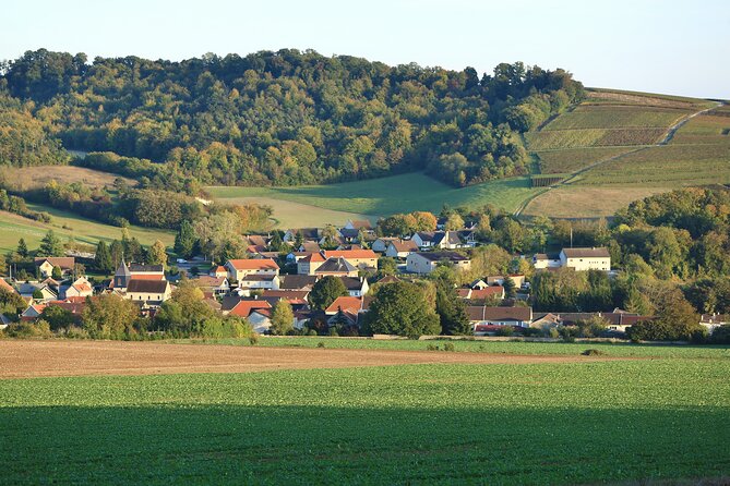 Champagne Guy De Chassey : Premium Tour and Tasting - Overview of Champagne Guy De Chassey