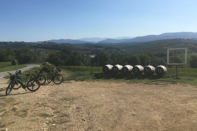 Chianti E-Bike Tour From Florence With Wine Tasting
