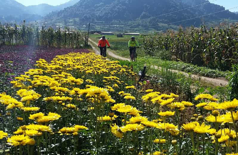Chiapas: Discover the Magic on Bike Tour