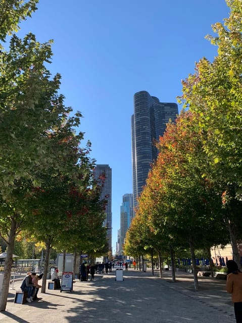 20 Best City Tours In Chicago