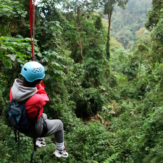 Chicaque Foggy Forest Hike
