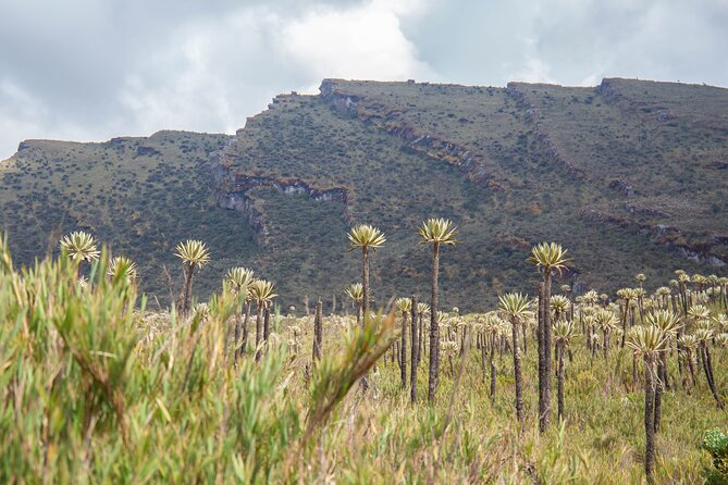 Chingaza Siecha Lakes Trek