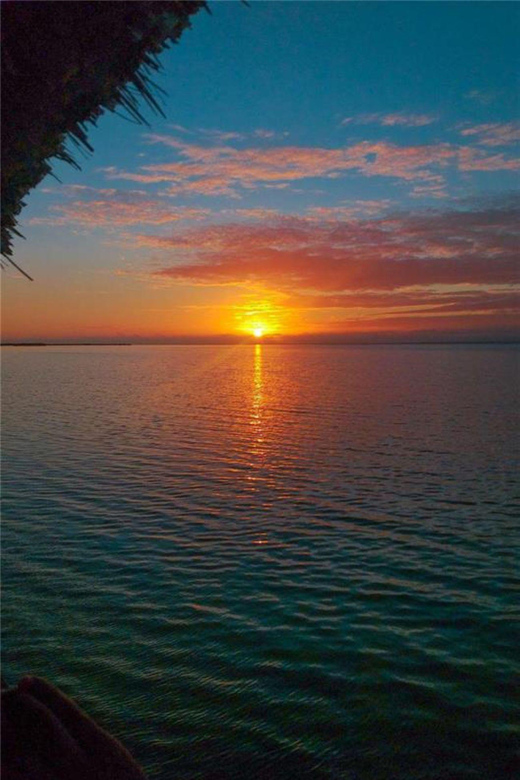 Chiquilá: Holbox Island and Isla Pasión Day Trip