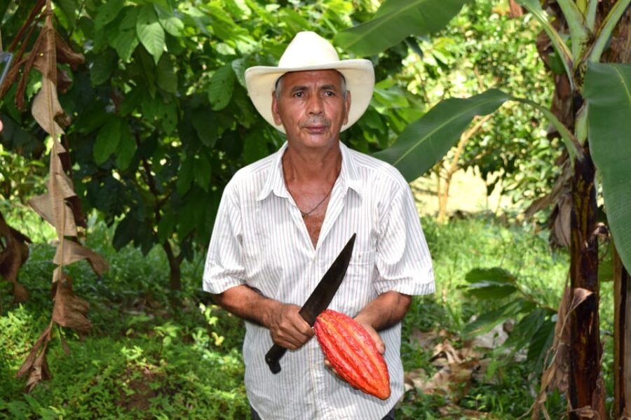 Chocolate Experience and Workshop Private Tour - Tour Overview and Pricing