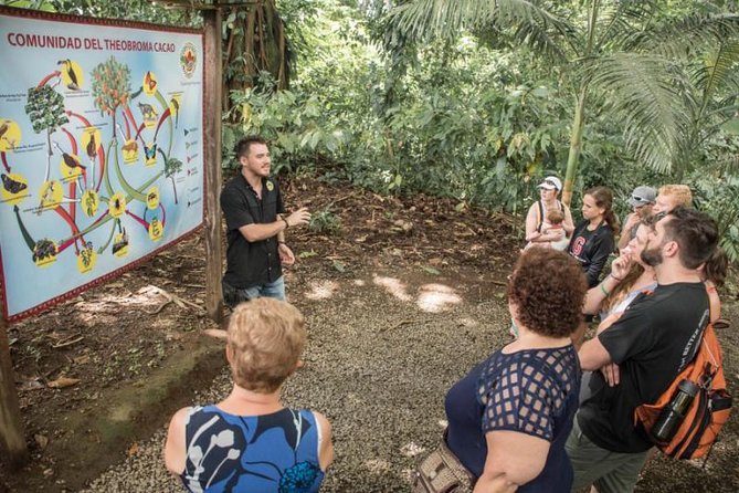 Chocolate Tour & Baldi Hot Springs. Private Tour From San Jose - Ancient Significance of Cacao