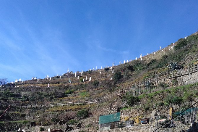 Cinque Terre Unforgettable Hiking Experience