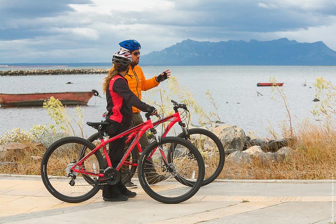 Best City Tours In Puerto Natales