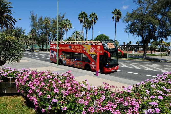 City Sightseeing Las Palmas De Gran Canaria Hop-On Hop-Off Bus Tour - Pricing and Booking Details