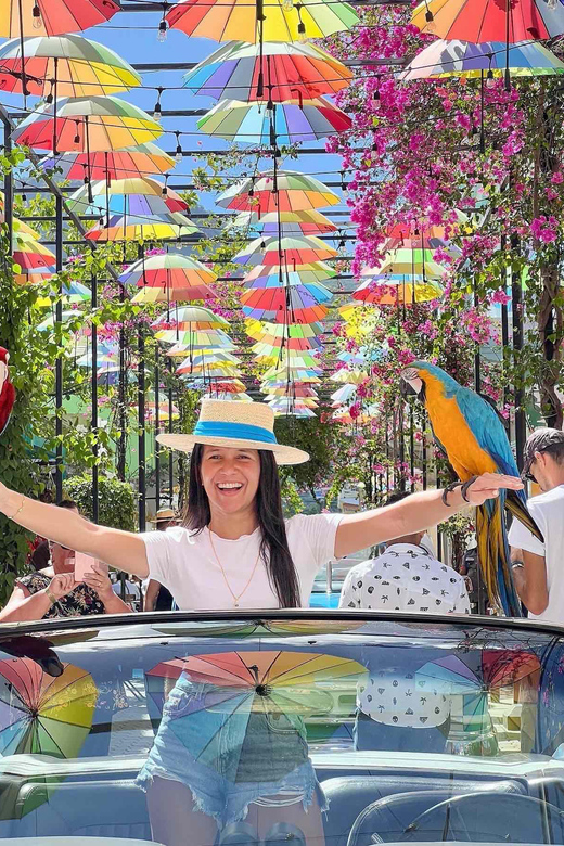 City Tour in Classic Cars, Puerto Plata 4pax
