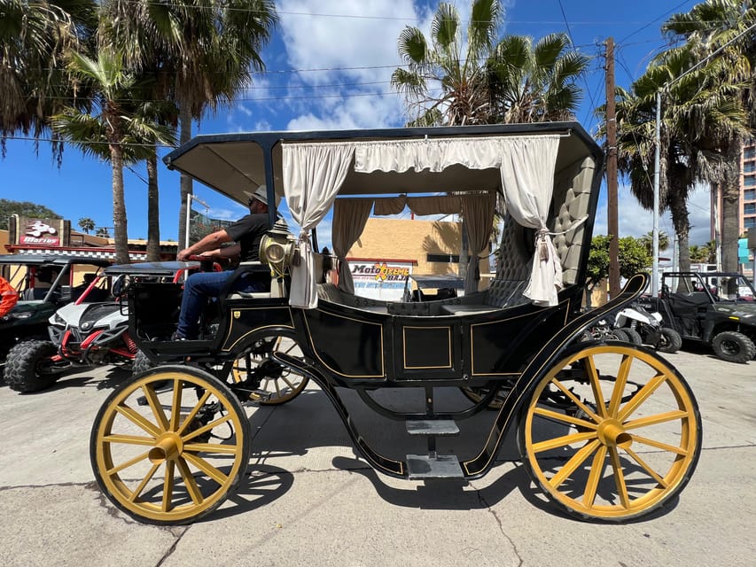 City Tour on Electric Horse Wagon. - Tour Overview