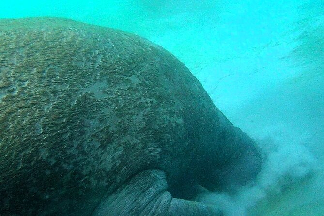 Clear Kayak Eco Tour in Jupiter, Florida - Included Tour Equipment and Guidance