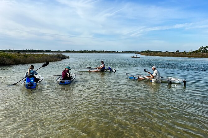 Clear Kayak Ecotour Destin Ft. Walton Beach