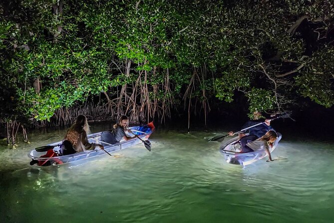 Clear Kayak LED Night Glass Bottom Tour - Siesta Key, FL