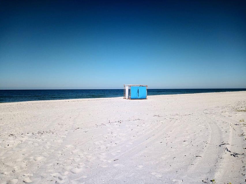 Clearwater: Beach Bummers LLC