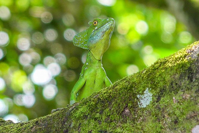 Cloud Forest Hike - Water National Park: Juan Castro Blanco National Park