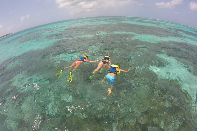Coastline Snorkel and BBQ