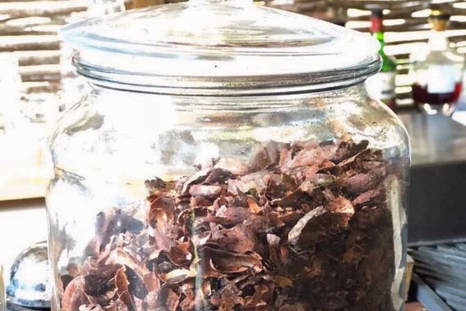 Cocoa Plantation Discovery and Workshop