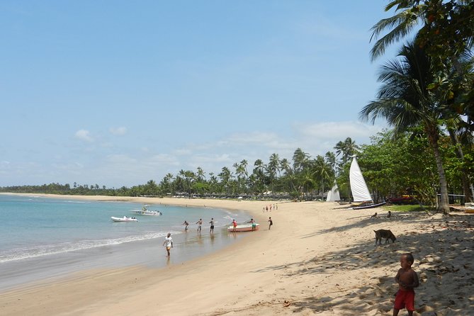 Coconut Coast and Praia Do Forte – the Famous Beaches