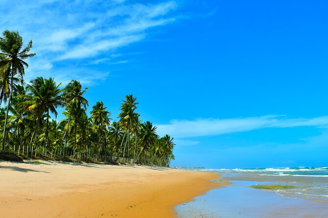 Coconut Coast Surf Adventure Vacation : Seven Days With a Pro
