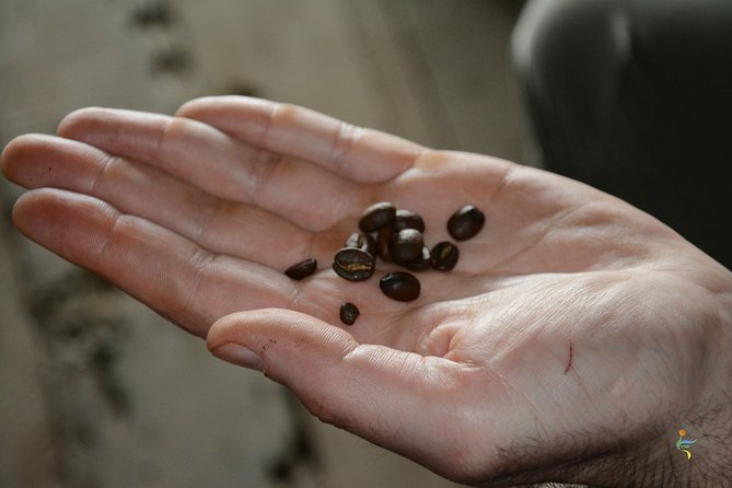 Coffee Farm – Group Tour and Daily Departure