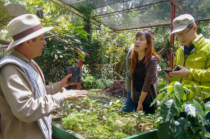 Coffee Plantation Tour From Bogota - Tour Overview