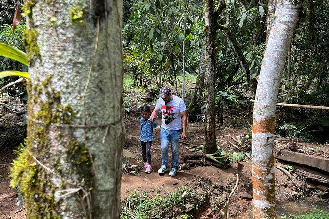 Coffee Plantation Tour Medellin