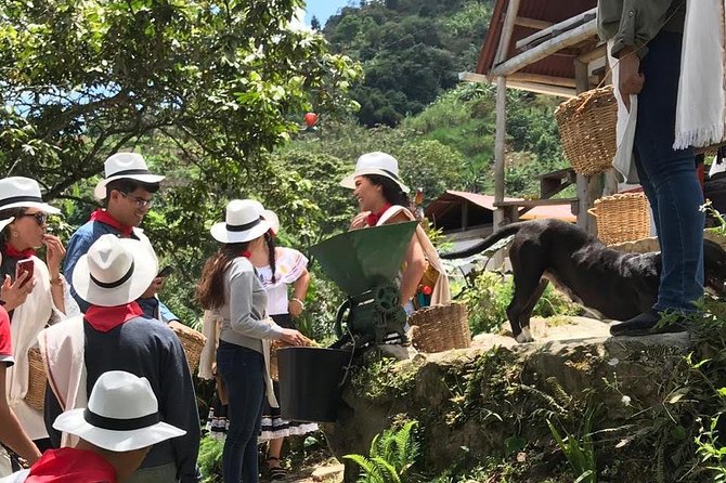 Coffee Tour – All Inclusive – Medellín