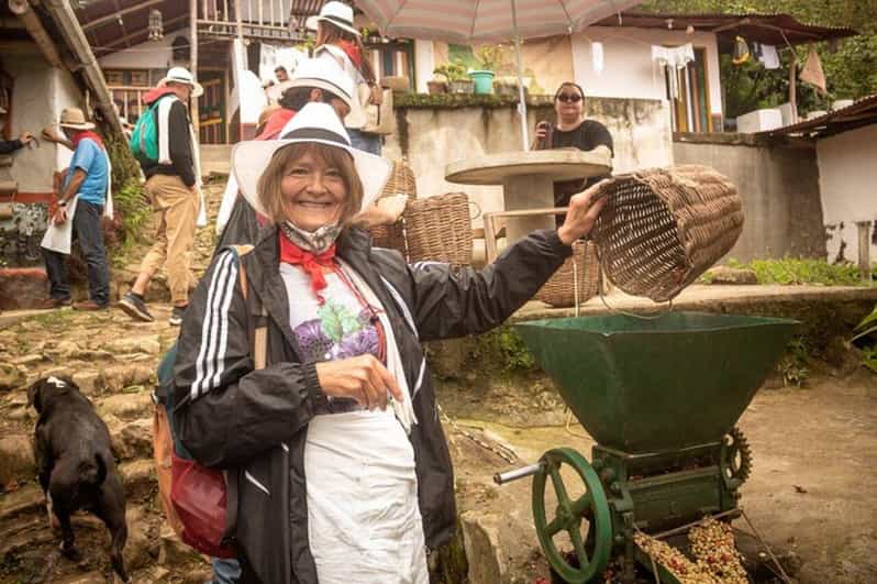 Coffee Tour From Medellin With Lunch and Coffee Tasting - Tour Overview and Pricing