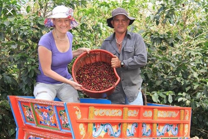 Coffee Tour, Grecia and Sarchi Oxcarts. Private Tour