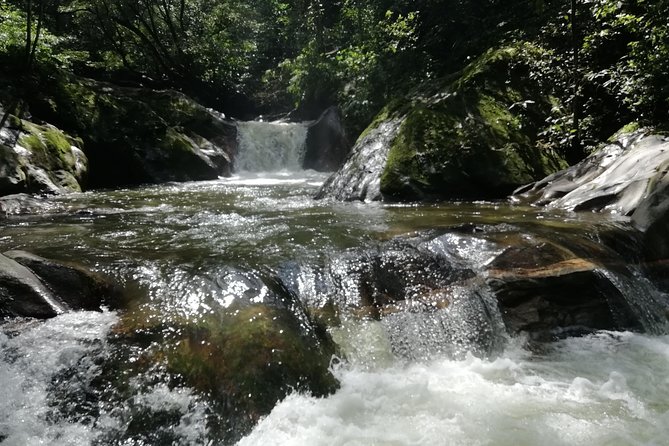 Coffee Tour La Victoria and Waterfalls in Minca – Private Tour