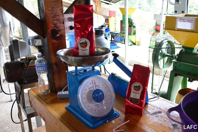 Coffee Tour Los Sauces
