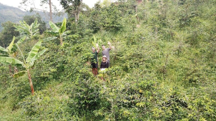 Coffee Tour & Tasting: Authentic Local Farm