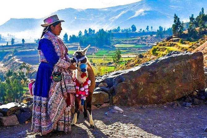 Colca Full Day