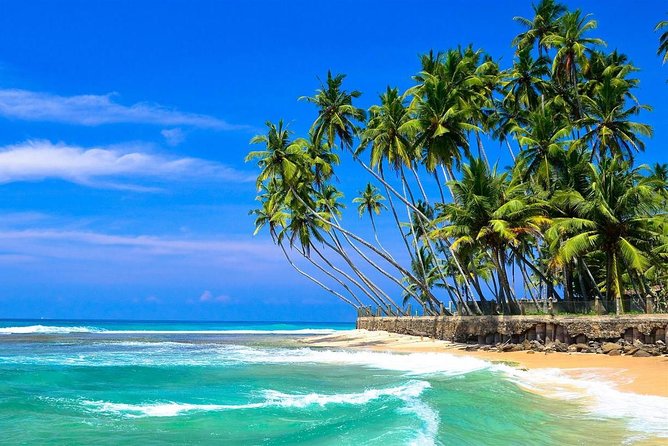 Colombo Airport to Hikkaduwa (Private Arrival Transfer)